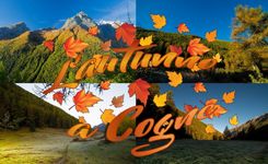 Fall in Cogne