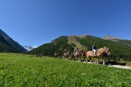Horse Riding in Cogne - Aosta Valley