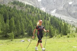 Nordic Walking in Cogne - Aosta Valley
