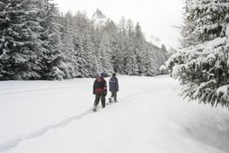 Itinéraires avec les raquettes à neige à Cogne - Vallée d'Aoste