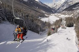 Downhill Skiing in Cogne - Aosta Valley
