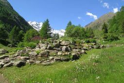 Paradisia Alpine Botanical Garden in Cogne - Aosta Valley