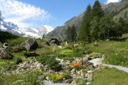 Jardin Botanique Alpin Paradisia